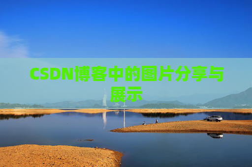 CSDN博客中的图片分享与展示